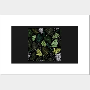 Green fern leaves on black background Posters and Art